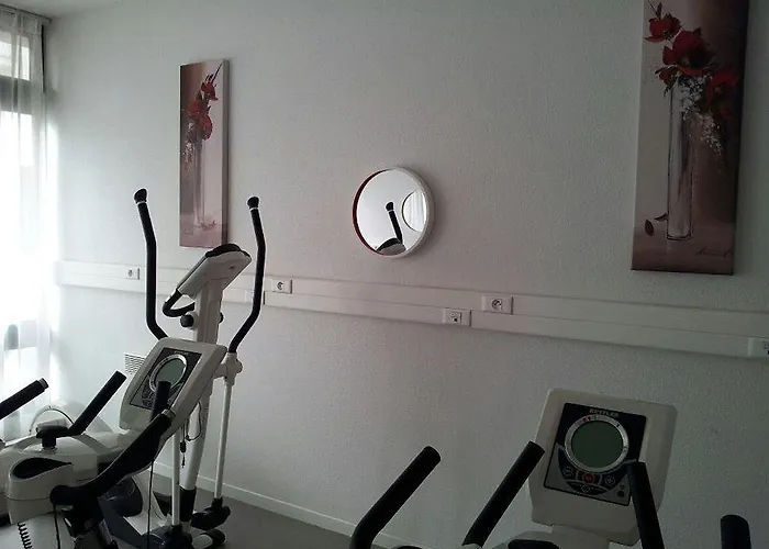 公寓式酒店 Nemea Centre 南锡